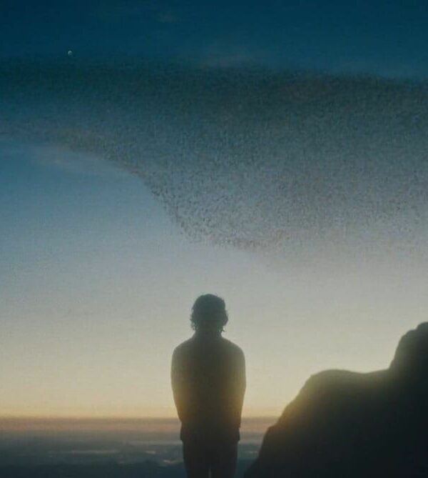 Trouserless Nightmare